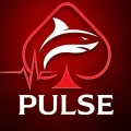Логотип клуба PULSE