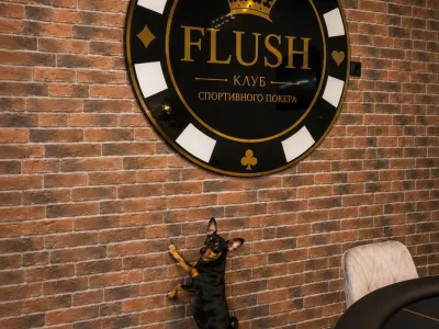 FLUSH