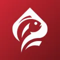 Логотип клуба Check-Check Club Волгоград